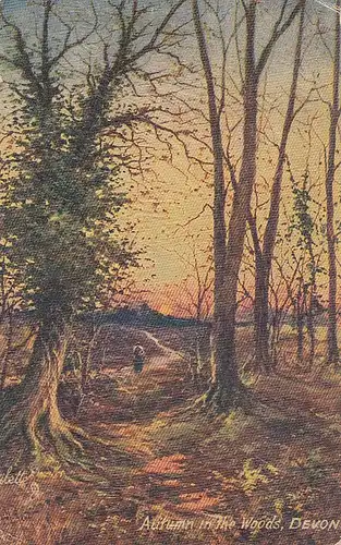 Autumn in the Woods, Devon ngl D2155