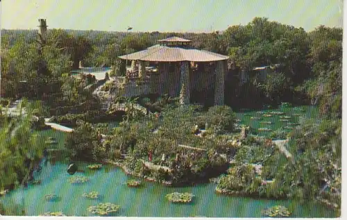 San Antonio Texas Brackenridge Park Chinese Tea Garden ngl 218.319