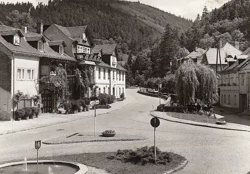 Leutenberg Thür. Straßenbild gl1981 D5067