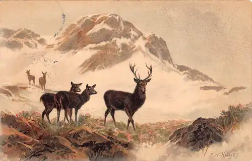Tiere: Hirsch mit Kühen im Hochgebirge Gemälde F. W. Hayes feldpgl1906 150.856