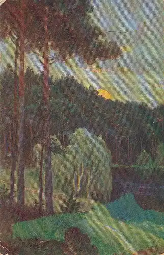 Waldstück mit Sonnenuntergang feldpgl1917 D2485