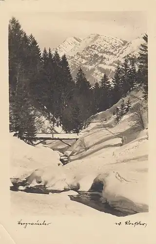 Jägersteg am oberen Lanzenbach (Allgäu) Rindalphorn gl1939 D2287