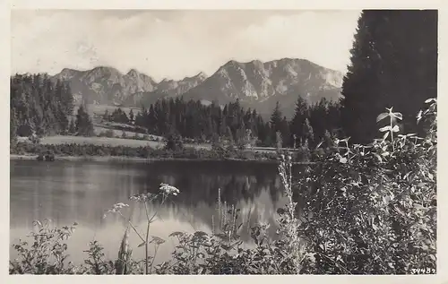 Kögelweiher bei Nesselwang i.Allgäu gl1937 D2197