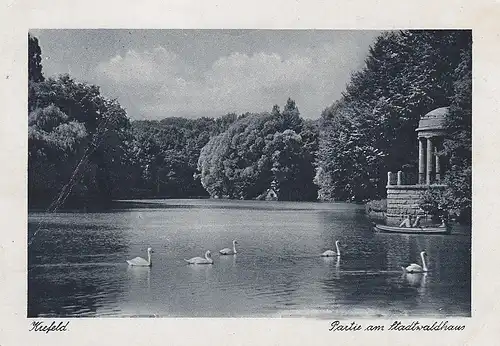 Krefeld Partie am Stadtwaldhaus gl1943 D1517