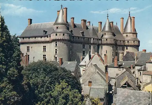 Château de Langeais (Indro-et-Loire) ngl D8059