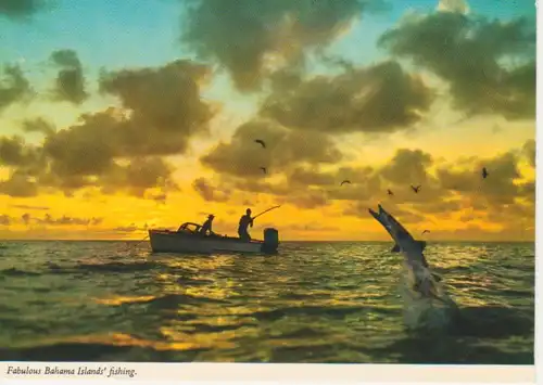 Fabulous Bahama Islands' fishing ngl 218.368
