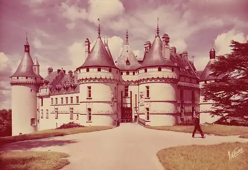 Chaumont-sur-Loire (Loir-et--Char) Le Château ngl D8114