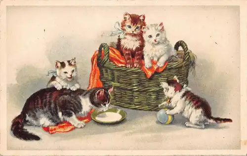 Tiere: Katzenmutter mit Jungen und blauen Schleifchen ngl 150.686