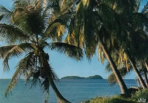 Guadeloupe Bords de mer ngl D5352