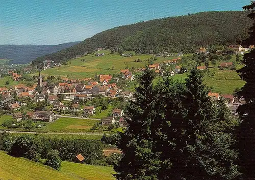 Baiersbronn im Schwarzwald Panorama ngl D5465