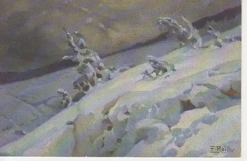 Fr. Reiss - Winter im Schwarzwald Nr.18 ngl 219.679