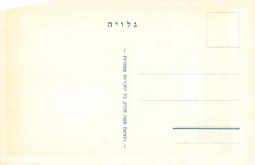 Israel: Männerportrait ngl 148.693