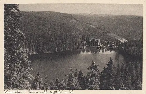 Mummelsee i.Schwarzwald ngl D3216