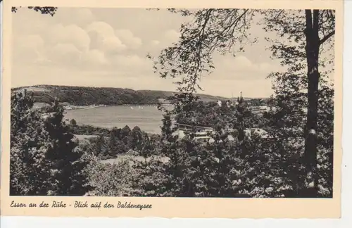 Essen Blick auf den Baldeneysee ngl 219.273