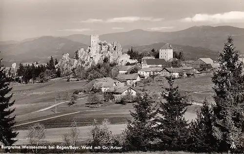 Burgruine Weissenstein bei Regen Bayer.Wald mit Gr.Arber ngl D6634