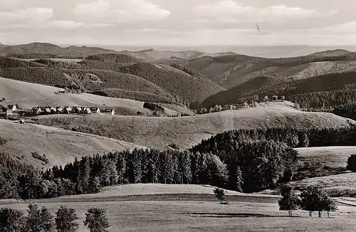 St.Andreasberg/Oberharz Blick von der Kuppe ngl D6644