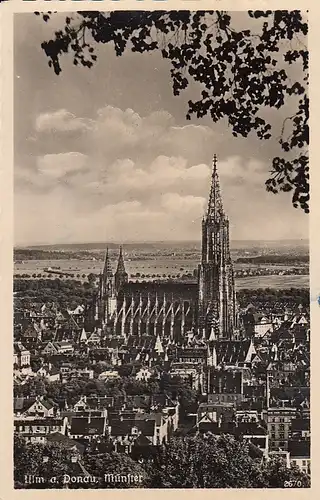 Ulm a.D. Münster gl1948 D1793