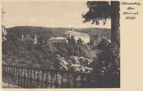 Schwarzburg Thür.Wald Blick aufs Schloss ngl D2995