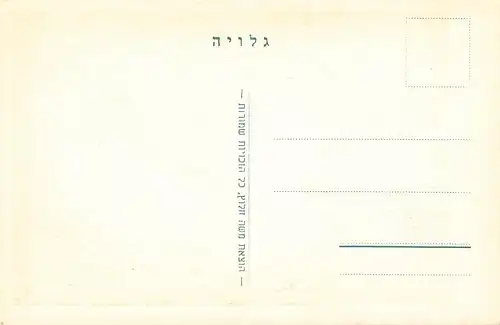 Israel: Männerportrait ngl 148.696