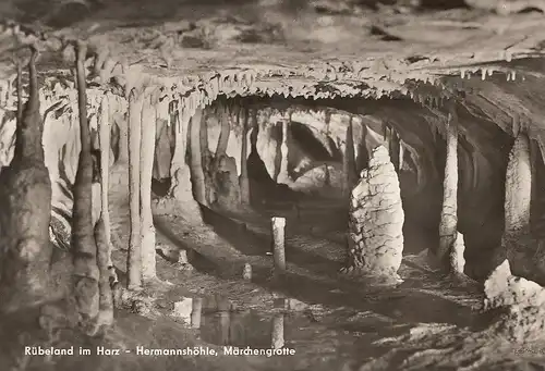 Rübeland Harz Hermannshöhle ngl D6701