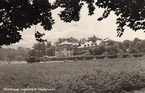 Waldhotel Jagdschloss Niederwald bei Rüdesheim ngl D3254