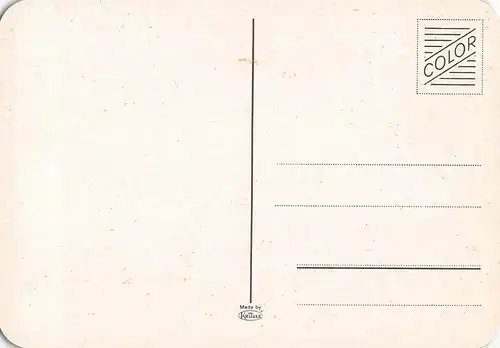 Tiere: Zwei Fox Terrier ngl 150.651