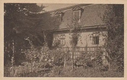 Weimar Goethe's Stadtwohnung am Frauenplan ngl D3282