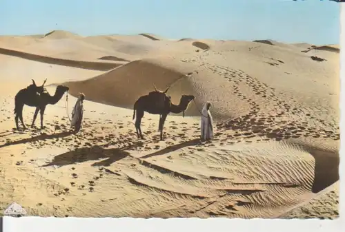 Algerien: Passage des Dunes de Sable au Désert ngl 223.563