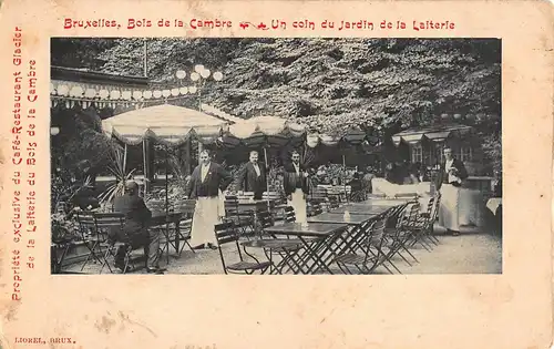 Bruxelles Bois de la Cambre Un coin du Jardin de la Laiterie ngl 149.357