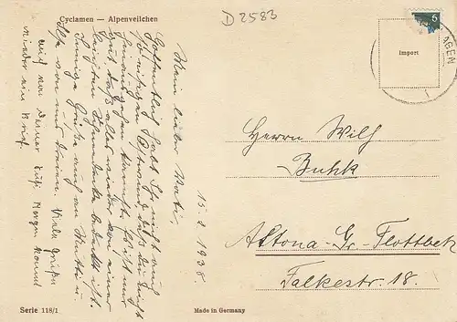 Cyclamen - Alpenveilchen gl1938 D2583