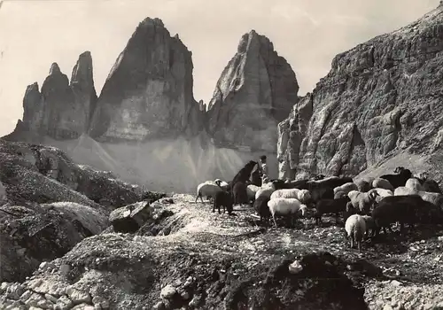 Tiere: Schafherde, Hirte und Hund am Tre Cime di Lavaredo gl1957 150.871