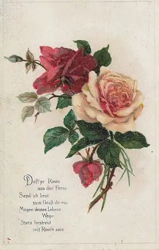 Rosen-Gruss gl1918 D3075