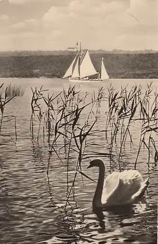 Andechs am Ammersee Obb. "Albatros" unterm Klosterberg gl1968 D3703