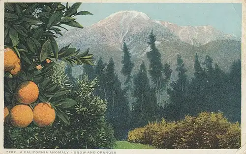 USA A California Anomaly - Snow and Oranges gl1929 D3171
