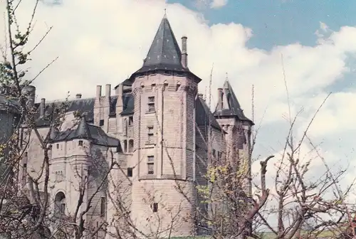 Château de Saumur (Maine-et-Loire) ngl D8058
