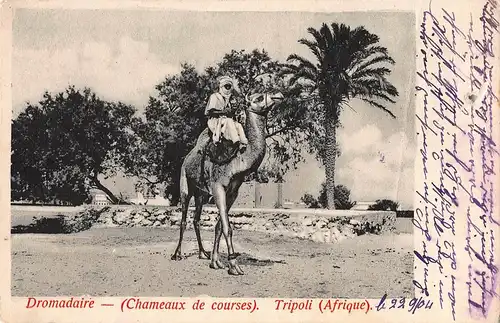 Tiere: Dromedar mit Reiter in Tripoli Afrika gl1904 150.672