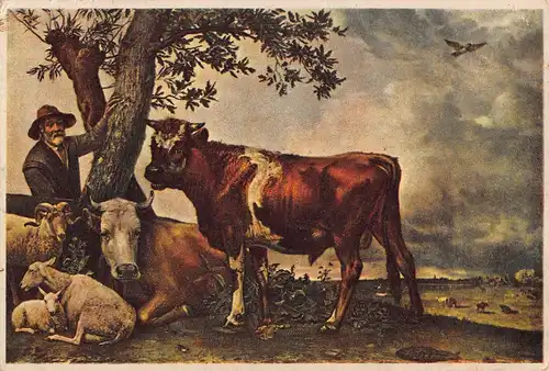 Tiere: Der junge Stier Paulus Potter Gemälde ngl 150.704