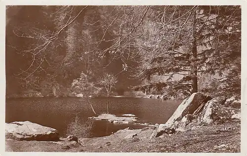 Vallé de Munster Le Fischboedle au printemps ngl D3965