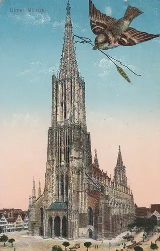 Ulm a.D. Münster mit Spatz gl1913 D3324