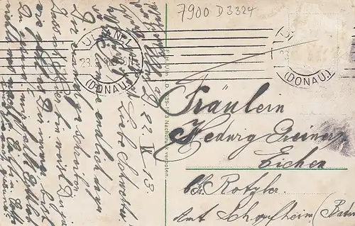 Ulm a.D. Münster mit Spatz gl1913 D3324