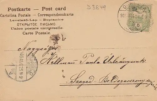 Ein Blumengruß gl1925 D3849