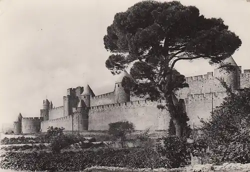 Carcassonne (Aude) La Cité Front Sud ngl D8187