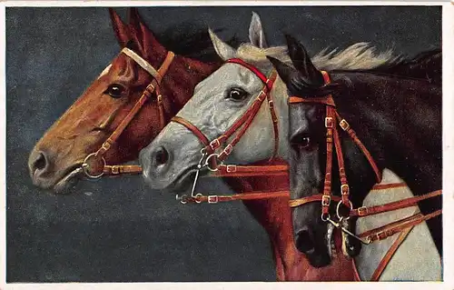 Tiere: Edle Pferde Gemälde von Anton Koch ngl 150.774