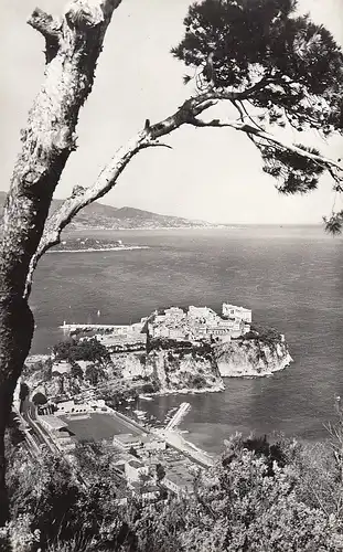 Monaco La Principauté entre les Pins ngl D3482