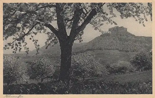 Festungsruine Hohenneuffen bei Kirschblüte ngl D3213