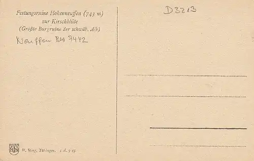 Festungsruine Hohenneuffen bei Kirschblüte ngl D3213