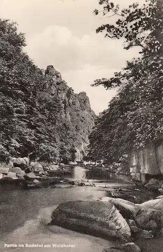 Partie im Bodetal am Waldkater gl1972 D5526