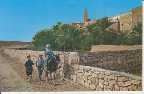 Algerien: M' Zab Scène pittoresque de Bounoura ngl 223.554
