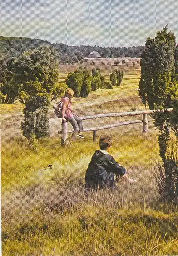 In der Lüneburger Heide gl1977 D5430