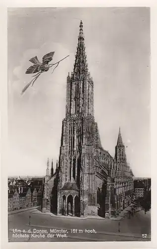 Ulm a.d.D. Münster ngl D3693